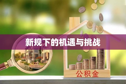 立山新规下的机遇与挑战