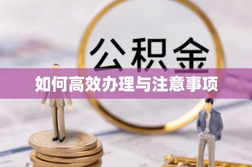 立山如何高效办理与注意事项