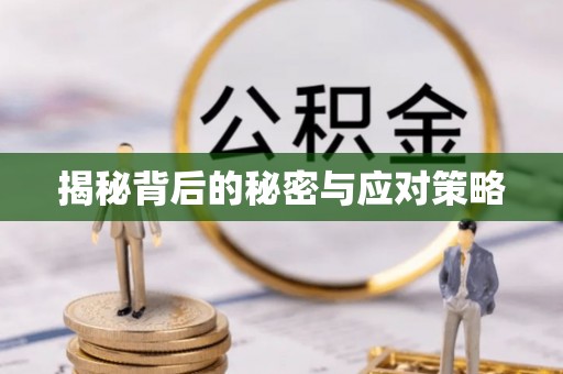 立山揭秘背后的秘密与应对策略