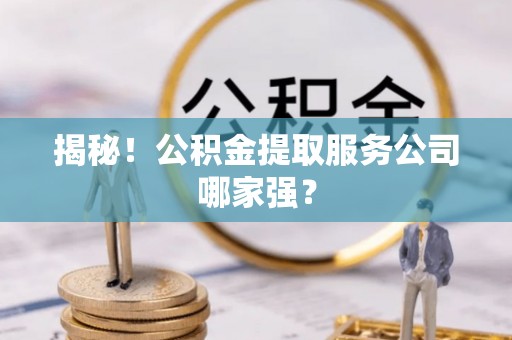 立山揭秘！公积金提取服务公司哪家强？